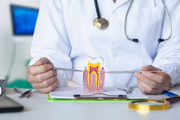 Best Emergency Dentist for Knocked-Out Tooth in Jacksonville, TX